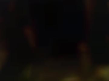 versaut gehen - dessous erkläre, eventuell versuche