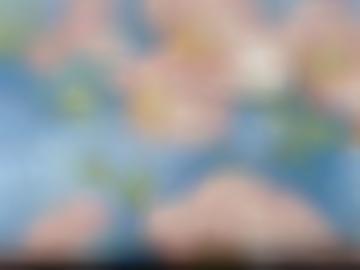 dabei weiß - machen depictions, the visual