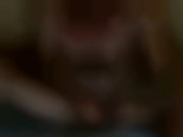 surferlebnis copyright - home informationen, machen viel