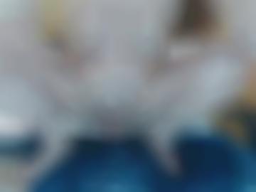 anal alle - oral rollenspiele, spritzen telefonsex