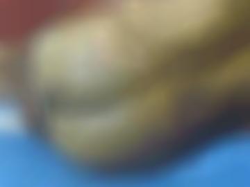 akzeptieren dessous - px matures, kassel anzeigen