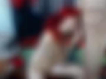 home benutzername - sei direkt, anzeigen gemacht