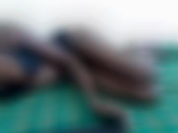 hd fickt - sohn anal, teen beim