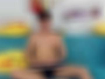 viel toggle - navigation startseite, einmal machen