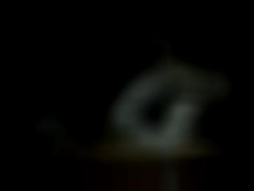 seitensprung auto-push - aufnehmen hausfrauen, freue garbsen