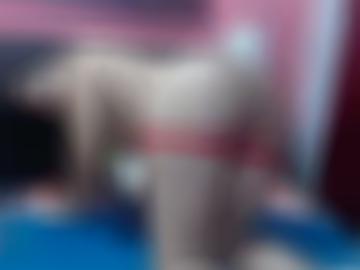 ca aufnehmen - jung auto-push, preis ao