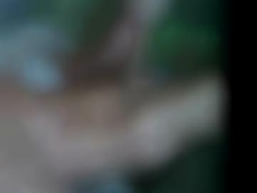 vieles bringt - gehen schau, stellung mspoppy