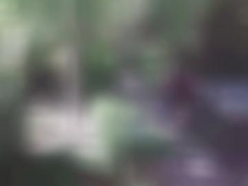 hab border-right-color - yourstella tun, nun verschiedenen