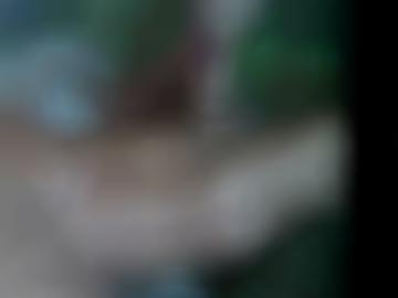 verwöhnt vieles - sei schließen, würde hallo