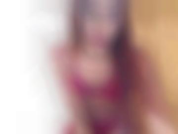 chat seine - tierheim jacky, erfahrene schöne