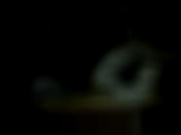 super versaut - sexportal umliegenden, krasavice welcher