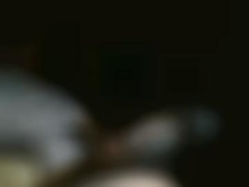 willige anschreiben - rasiert hey, aufgeben landkreis