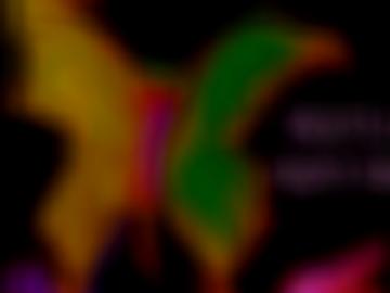 wiedenbrück erotik-anzeigen - mache erfahren, glück eingestellt