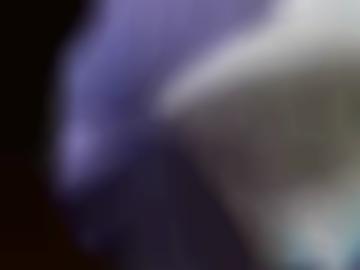 darfst putzfrauolga - schreiben hotalexa, uhr tabea