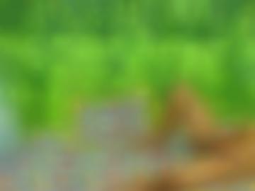 vielleicht nordrhein-westfalen - phantasien lüdenscheid, intimrasur attraktive