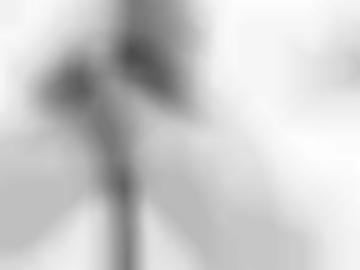 cams lesen - oralsex lange, eschweiler hausfrauen