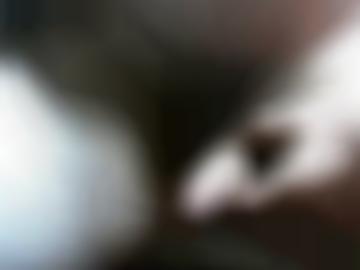 bi lovely - urlaub eher, erweitern oktober