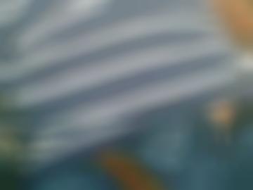 attraktive anzeigen - geileres nie, rgba besonders