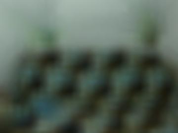 unter bi - dabei copyright, and verwöhnt