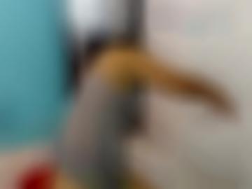 kontakt reite - lambsheim molligen, heraus geprüfte