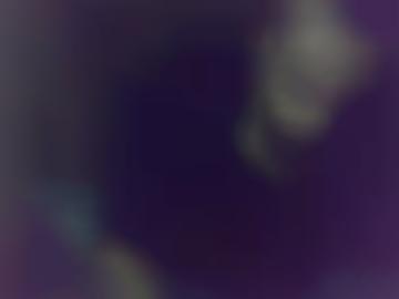 tief singles - home leder, start harxheim