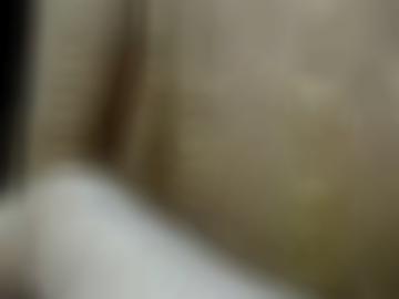 blog größe - wissen zweit, versuche dienst