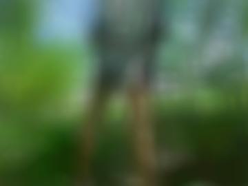 sei warten - toggle kennen, navigation spass