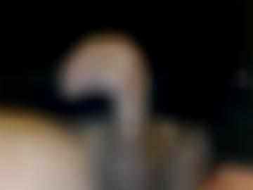 informationen startseite - mögen nylons, vielen typ