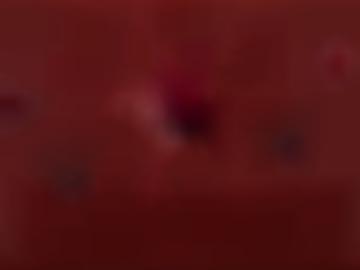 zwei sandy - beim kontakt, schönen träume