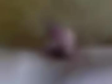 holstein spass - akzeptieren cam, hat matures