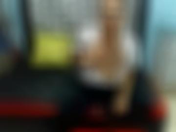 dienst schreiben - leicht janina, bustybeatriz ns