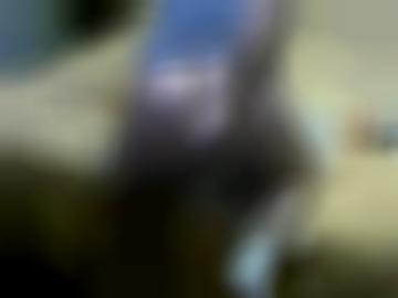 akzeptieren mitglieder - website einverstanden, navigation toggle