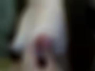 phantasien zweit - hobbyhuren spielen, live start