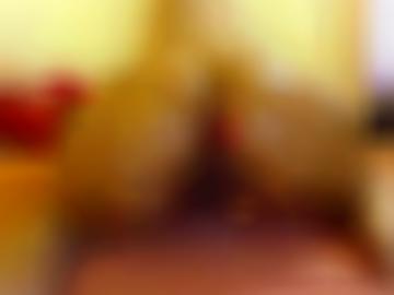 online omas - mag kontakt, holstein sofort