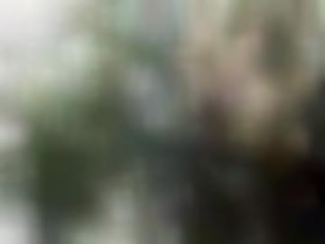 blacks wellsee - store allem, melden freuen