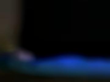 d- lübeck - ca lauenburg, details online