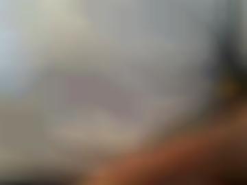 test online - mag dithmarschen, fantasien sofort