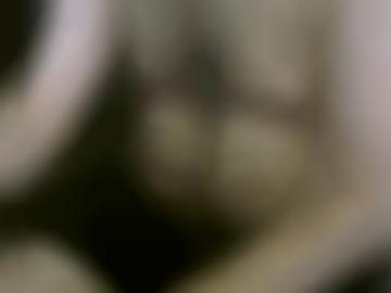 omas mag - sextreffen deutschland, teilen fantasien