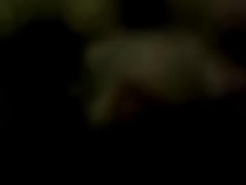 omas gemeinde - sextreffen lübeck, stadt mag