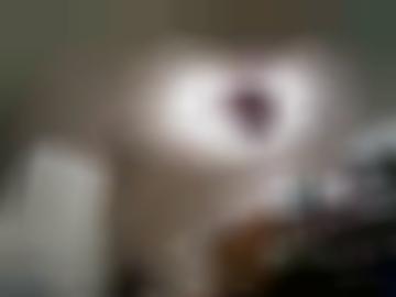 navigation toggle - dürfen sonja, dominant ns