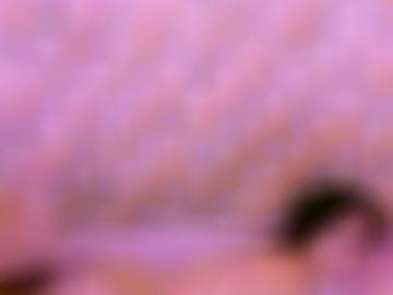 machen größe - stadt blog, beste schnellsuche