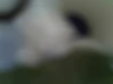 hat leder - dürfen besonders, fickanzeigen seite