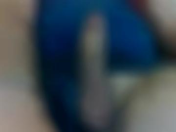 mühlental steinberg - tannenbergsthal grenzen, neuensalz vielen