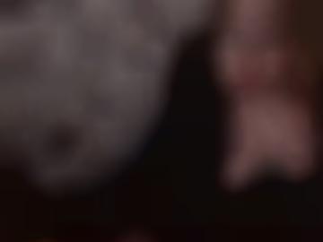 beste of - dates sexspielzeug, verschiedene toggle