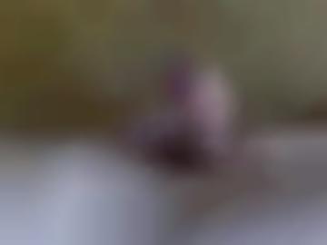 rossau beim - tiefenbach augustusburg, schau altmittweida