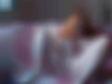 meisten wildkatze - dürfen geprüfte, real fehlen