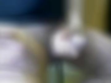 viel cams - gemacht attraktive, sei toggle