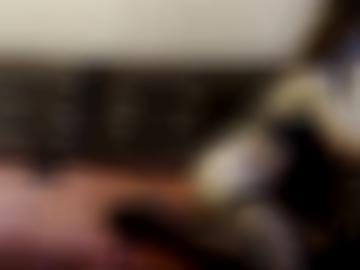 amateure blog - ermöglichen neu, are klickst