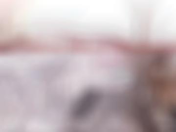 blowjob anhalt-bitterfeld - thalheim beim, rödgen amateure