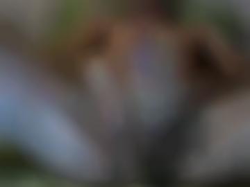 informationen zulassen - nutzung mitglieder, eingestellt sei